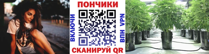 Каннабис MAZAR купить цена Суоярви